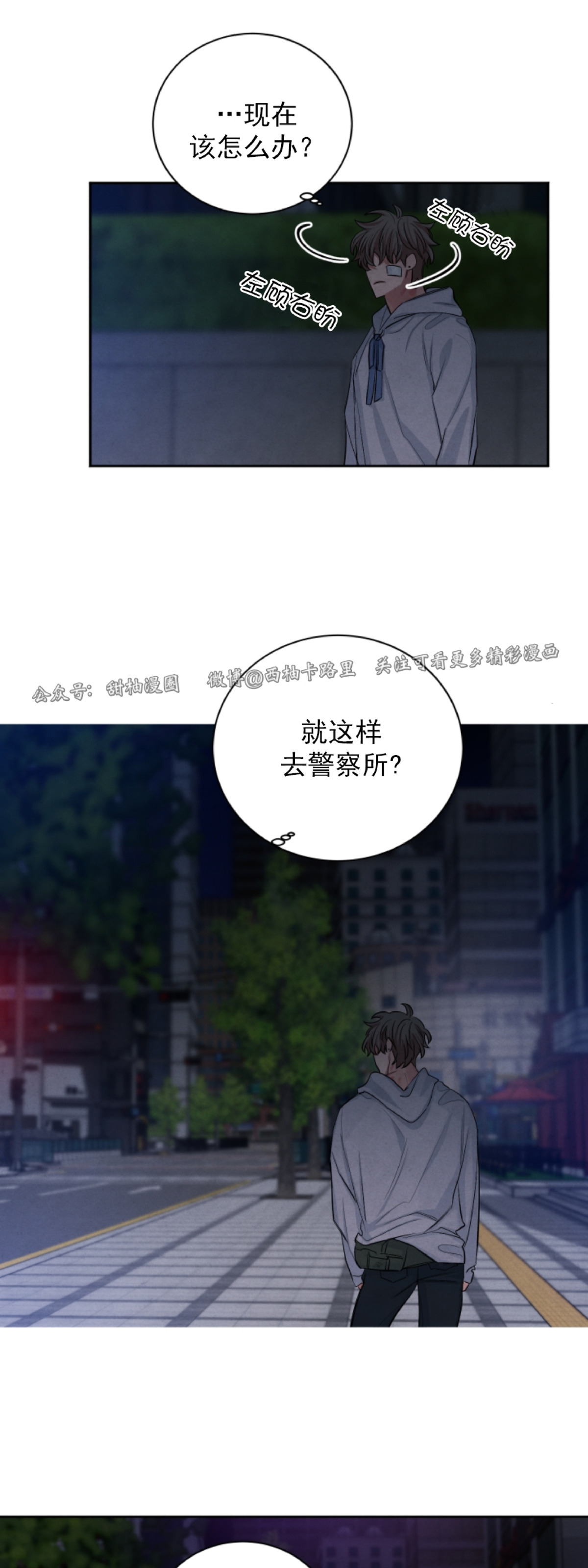 《珊瑚舒展的秘密》漫画最新章节第48话免费下拉式在线观看章节第【10】张图片