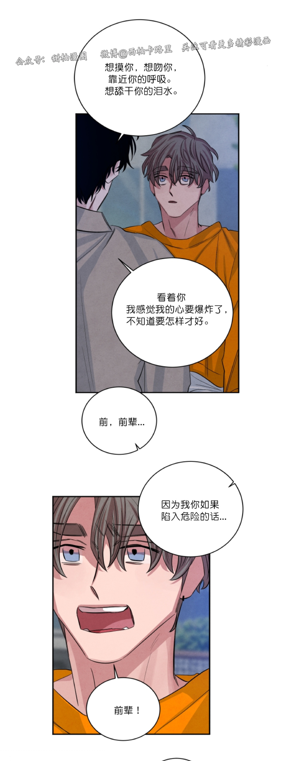 《珊瑚舒展的秘密》漫画最新章节第49话 完免费下拉式在线观看章节第【34】张图片