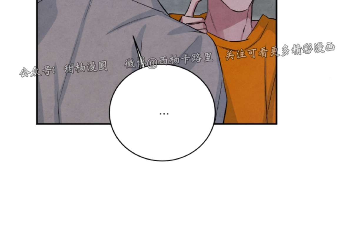 《珊瑚舒展的秘密》漫画最新章节第49话 完免费下拉式在线观看章节第【29】张图片