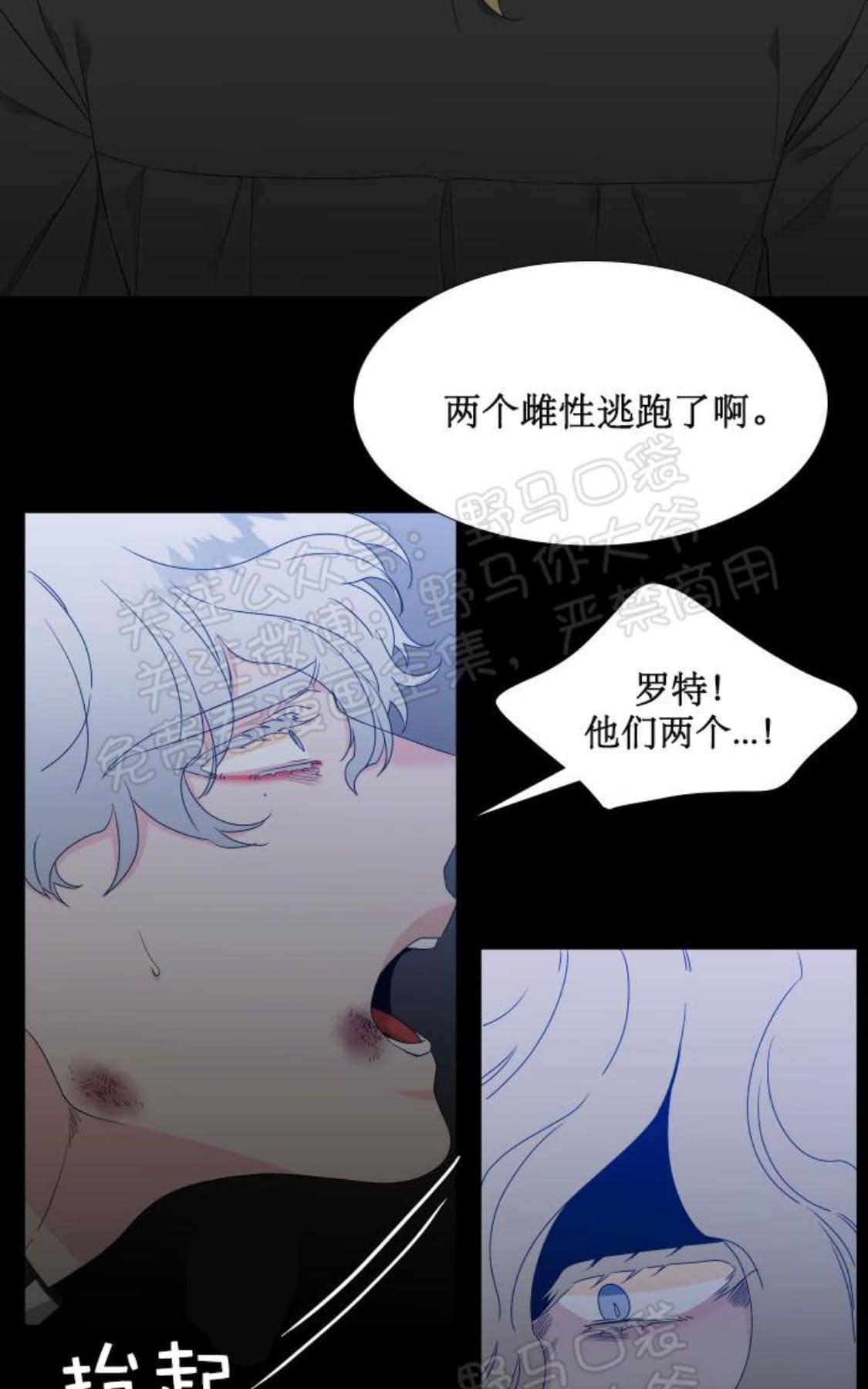 《血缘纽带/blood link》漫画最新章节 第92话 免费下拉式在线观看章节第【19】张图片