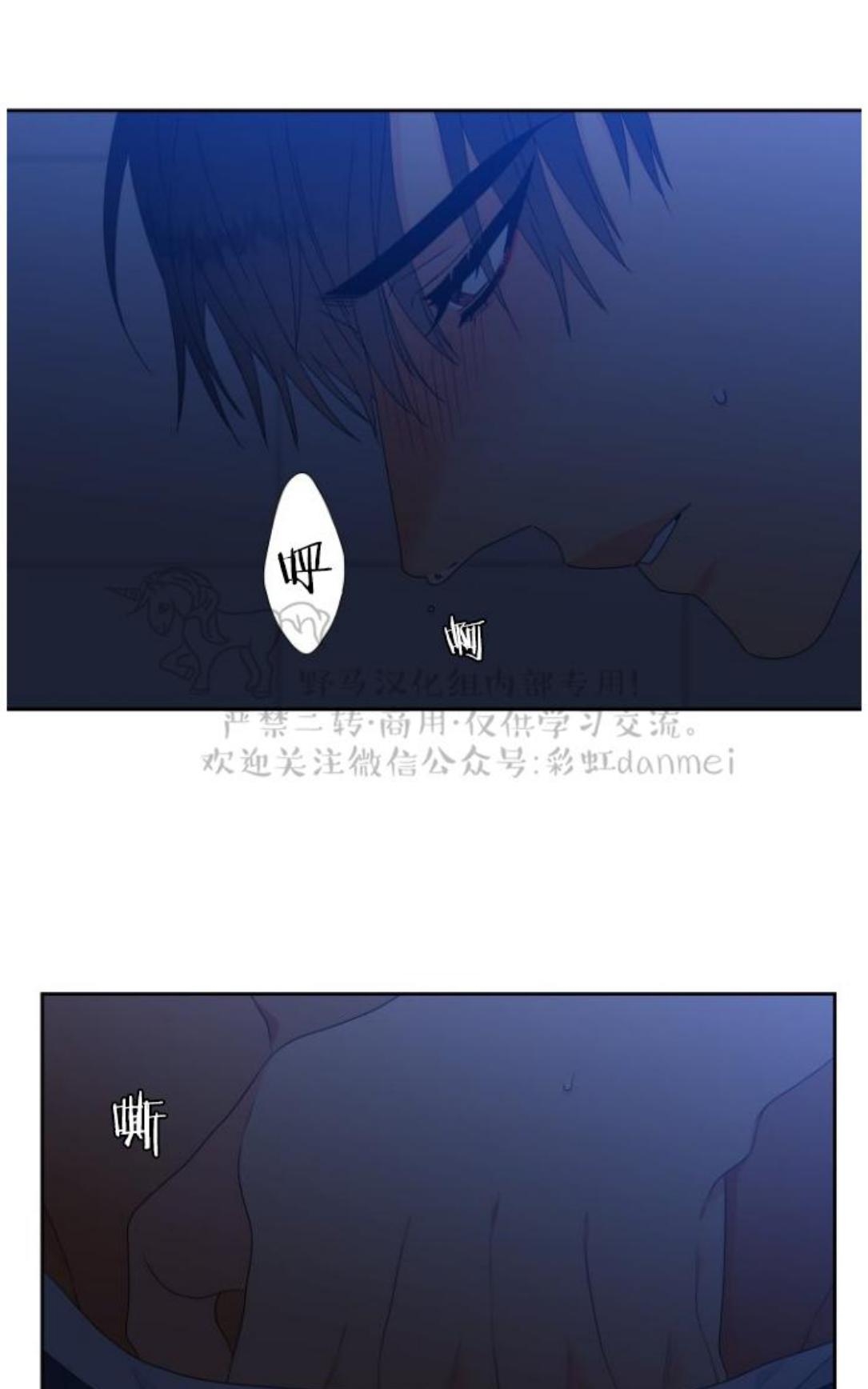 《血缘纽带/blood link》漫画最新章节 第68话第二季 免费下拉式在线观看章节第【31】张图片