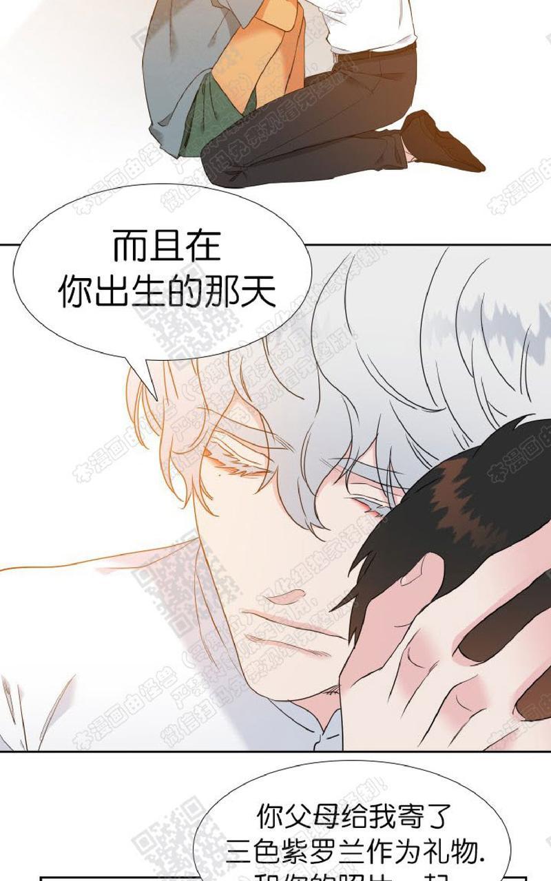 《血缘纽带/blood link》漫画最新章节 第102话 免费下拉式在线观看章节第【9】张图片