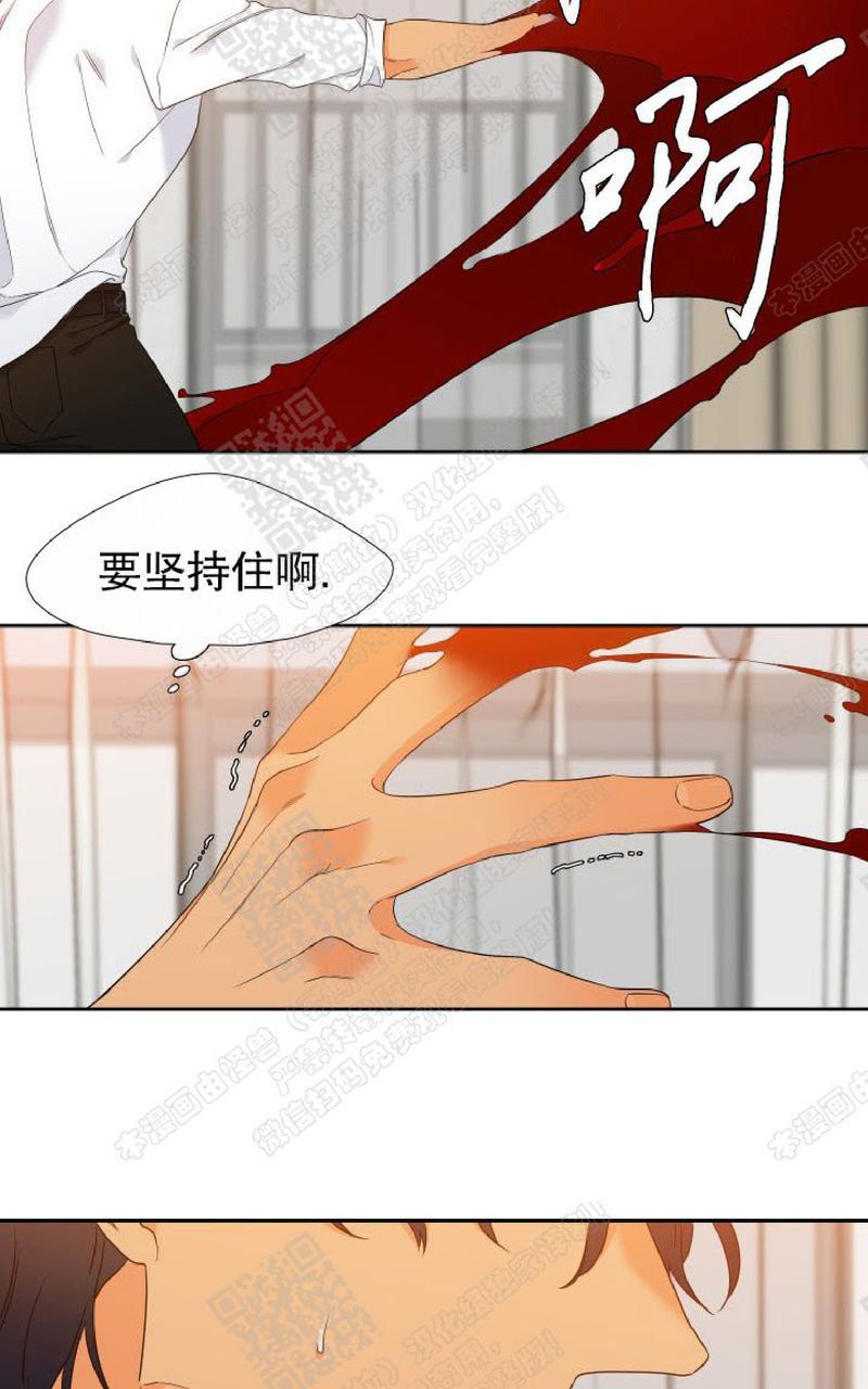 《血缘纽带/blood link》漫画最新章节 第101话 免费下拉式在线观看章节第【48】张图片