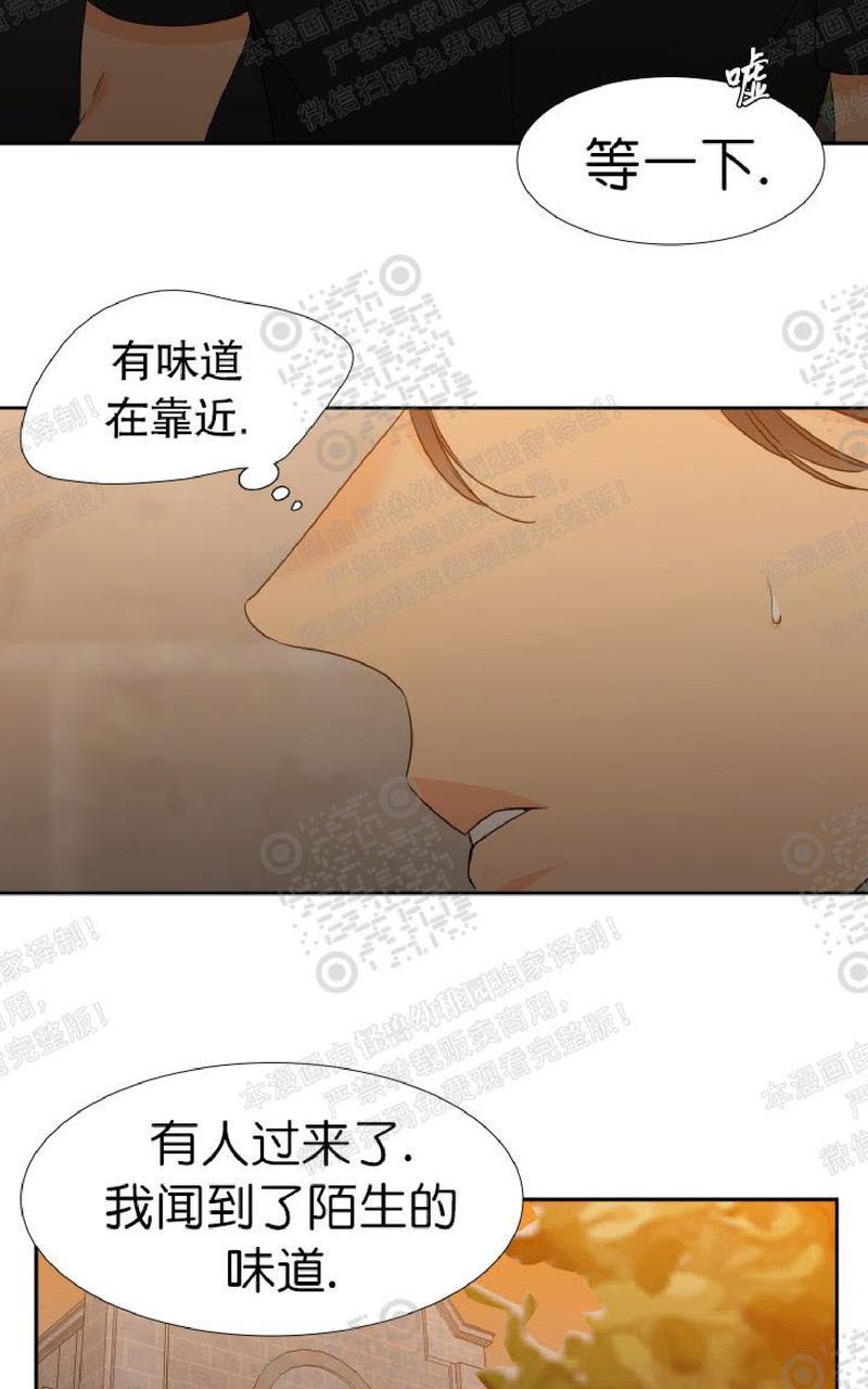 《血缘纽带/blood link》漫画最新章节 第103话免费下拉式在线观看章节第【19】张图片