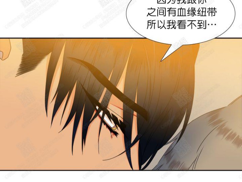 《血缘纽带/blood link》漫画最新章节第55话免费下拉式在线观看章节第【14】张图片