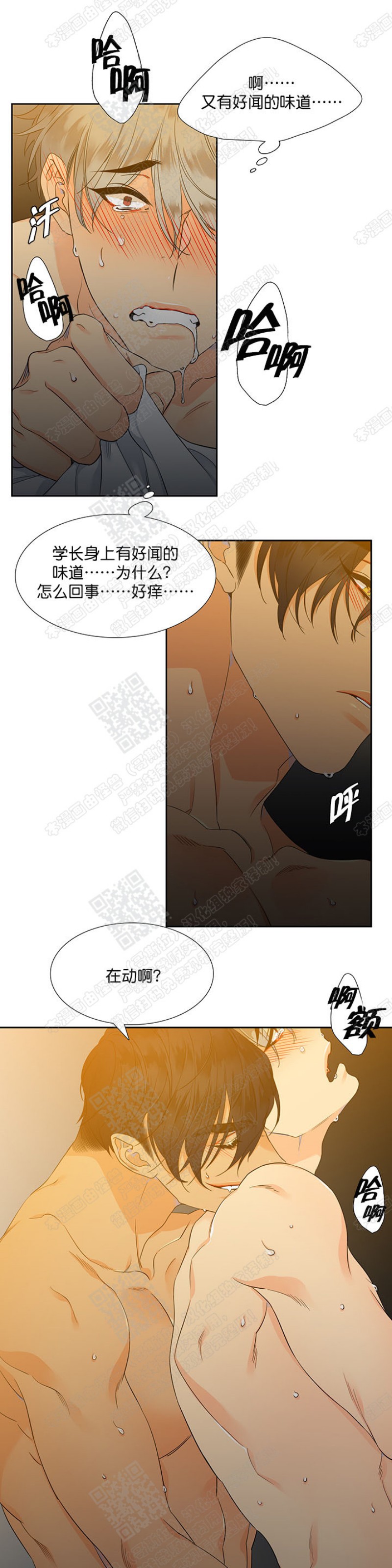 《血缘纽带/blood link》漫画最新章节第5话免费下拉式在线观看章节第【31】张图片