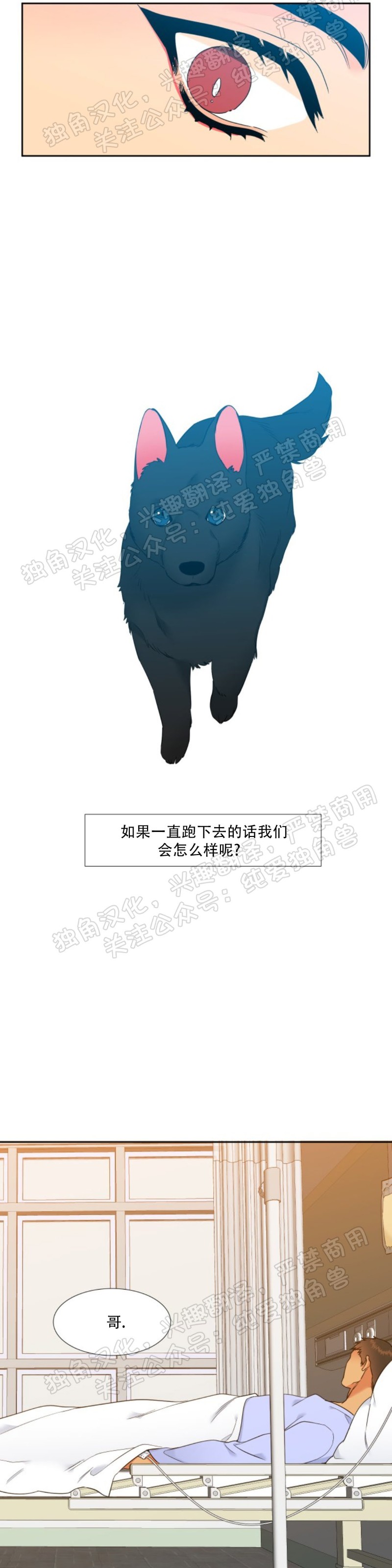 《血缘纽带/blood link》漫画最新章节第113话免费下拉式在线观看章节第【19】张图片