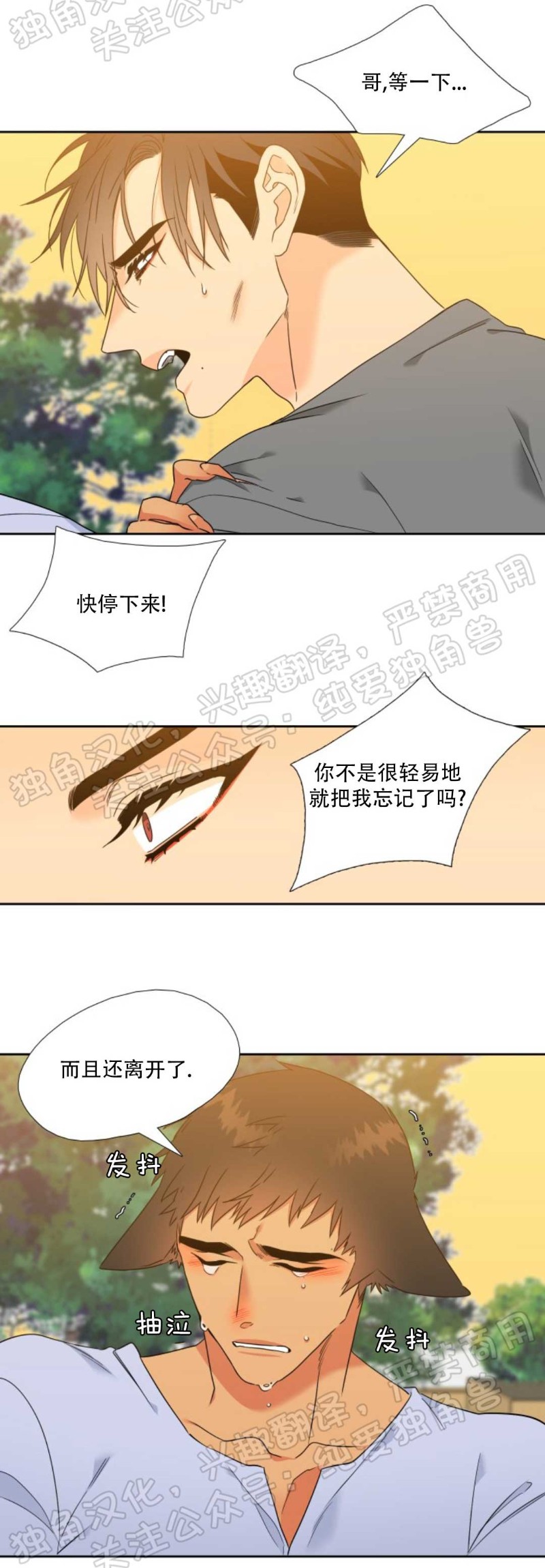 《血缘纽带/blood link》漫画最新章节第114话免费下拉式在线观看章节第【19】张图片