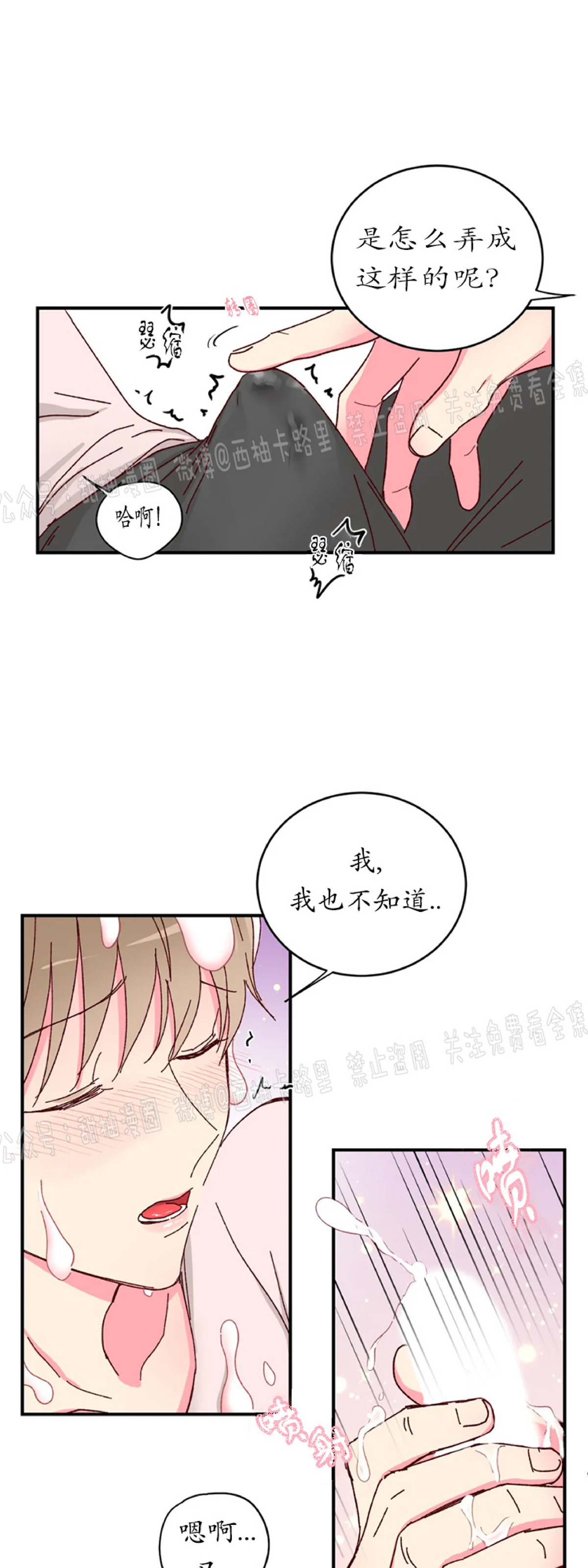 《 理事的甜点/理事长的甜点》漫画最新章节第12话免费下拉式在线观看章节第【13】张图片