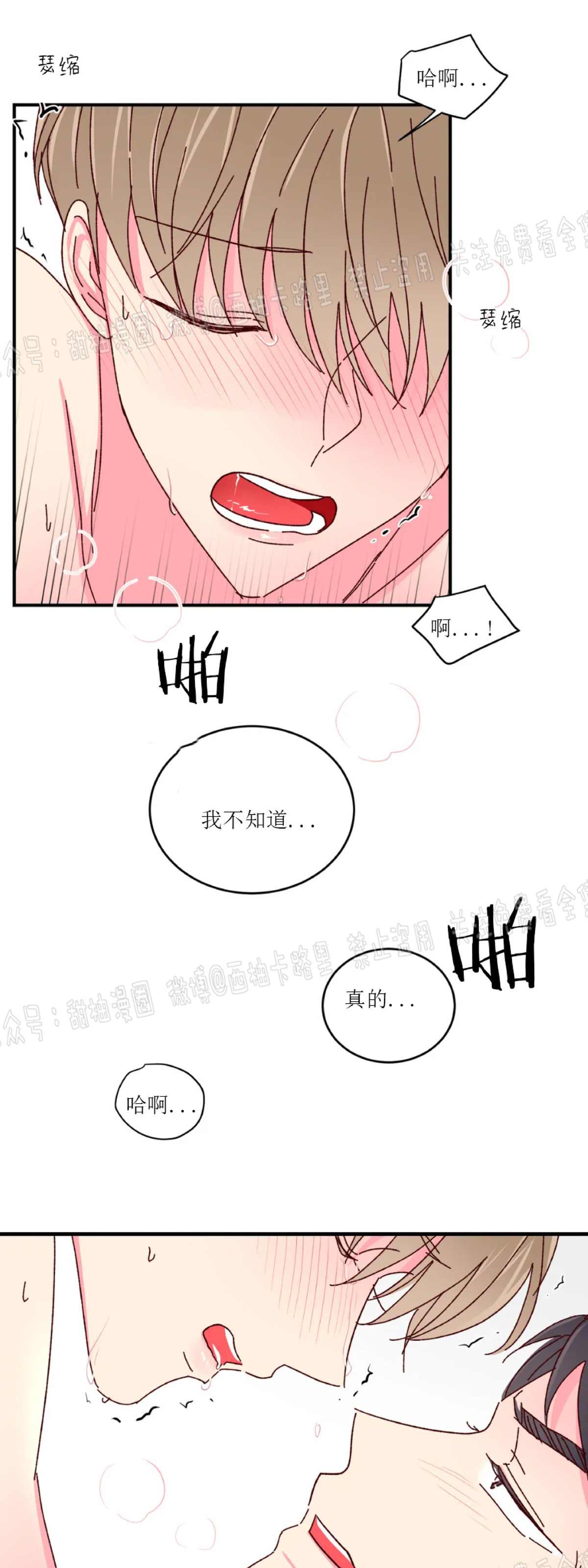 【 理事的甜点/理事长的甜点[耽美]】漫画-（第20话）章节漫画下拉式图片-27.jpg