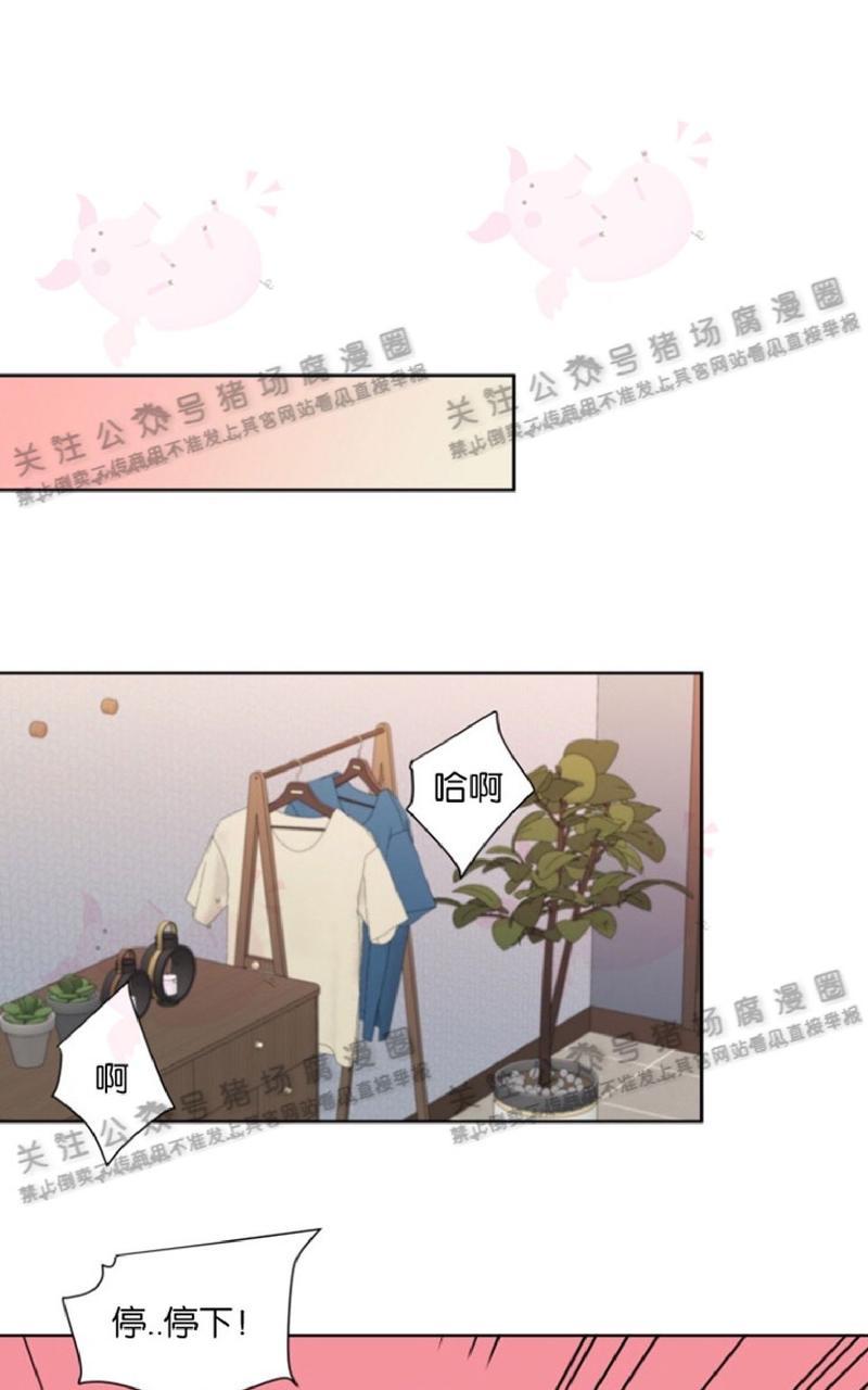 《纯情禁止令》漫画最新章节第28话免费下拉式在线观看章节第【34】张图片