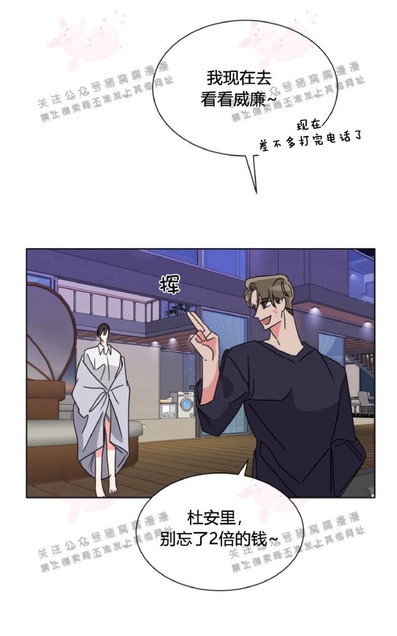 《纯情禁止令》漫画最新章节第26话免费下拉式在线观看章节第【48】张图片