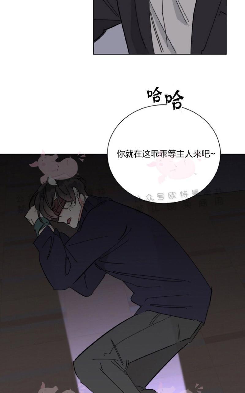 《纯情禁止令》漫画最新章节第21话免费下拉式在线观看章节第【20】张图片