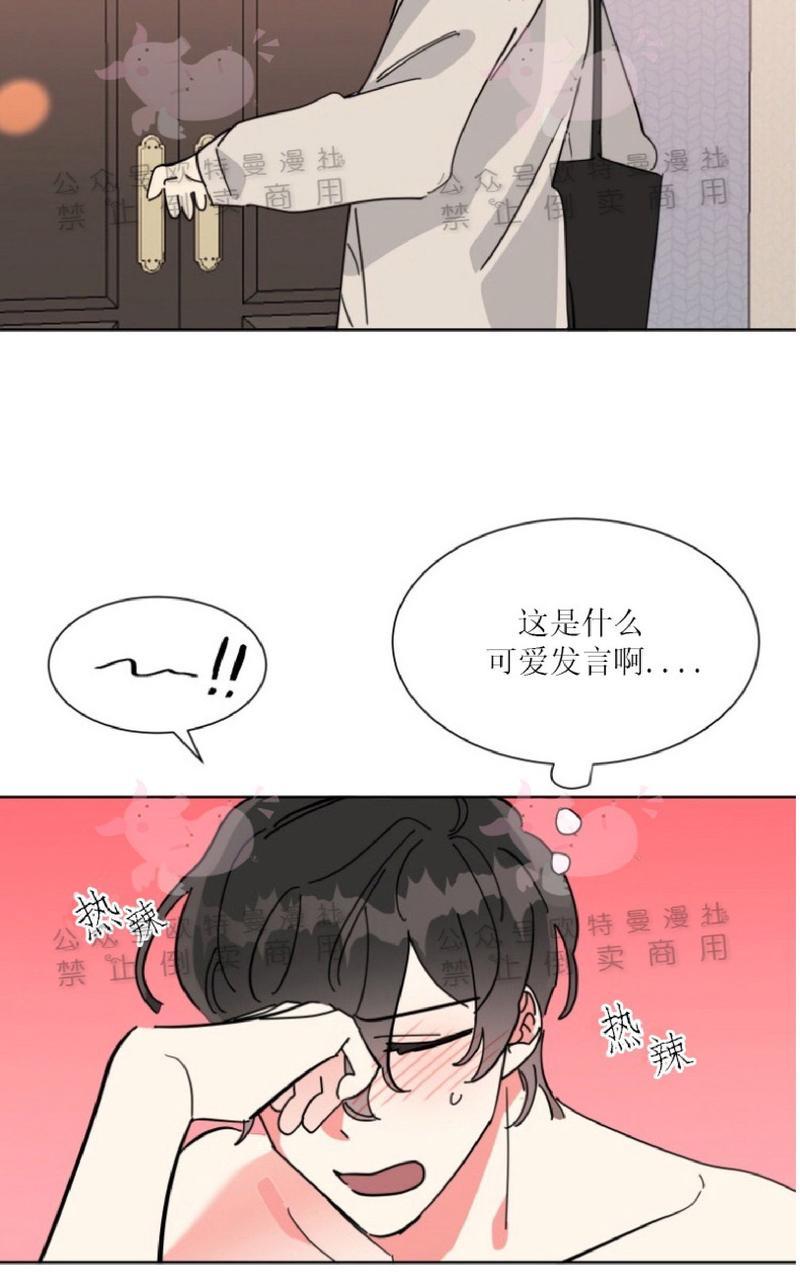 《纯情禁止令》漫画最新章节第19话免费下拉式在线观看章节第【18】张图片