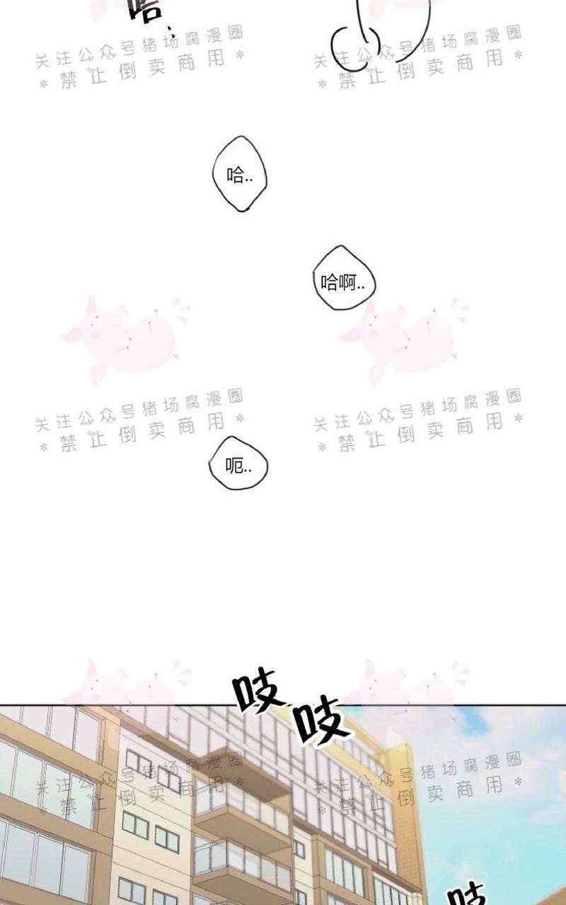 《纯情禁止令》漫画最新章节第2话免费下拉式在线观看章节第【25】张图片