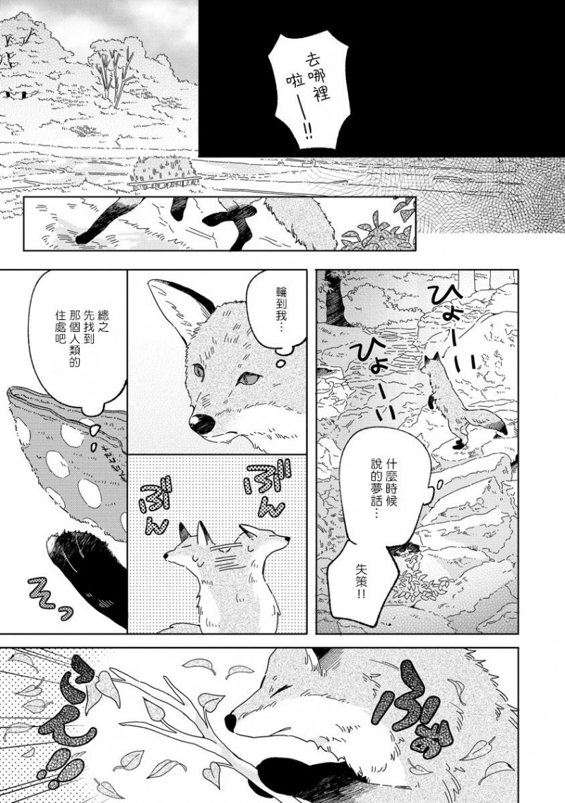 【小狐狸老师永不气馁!!![耽美]】漫画-（第1话）章节漫画下拉式图片-11.jpg