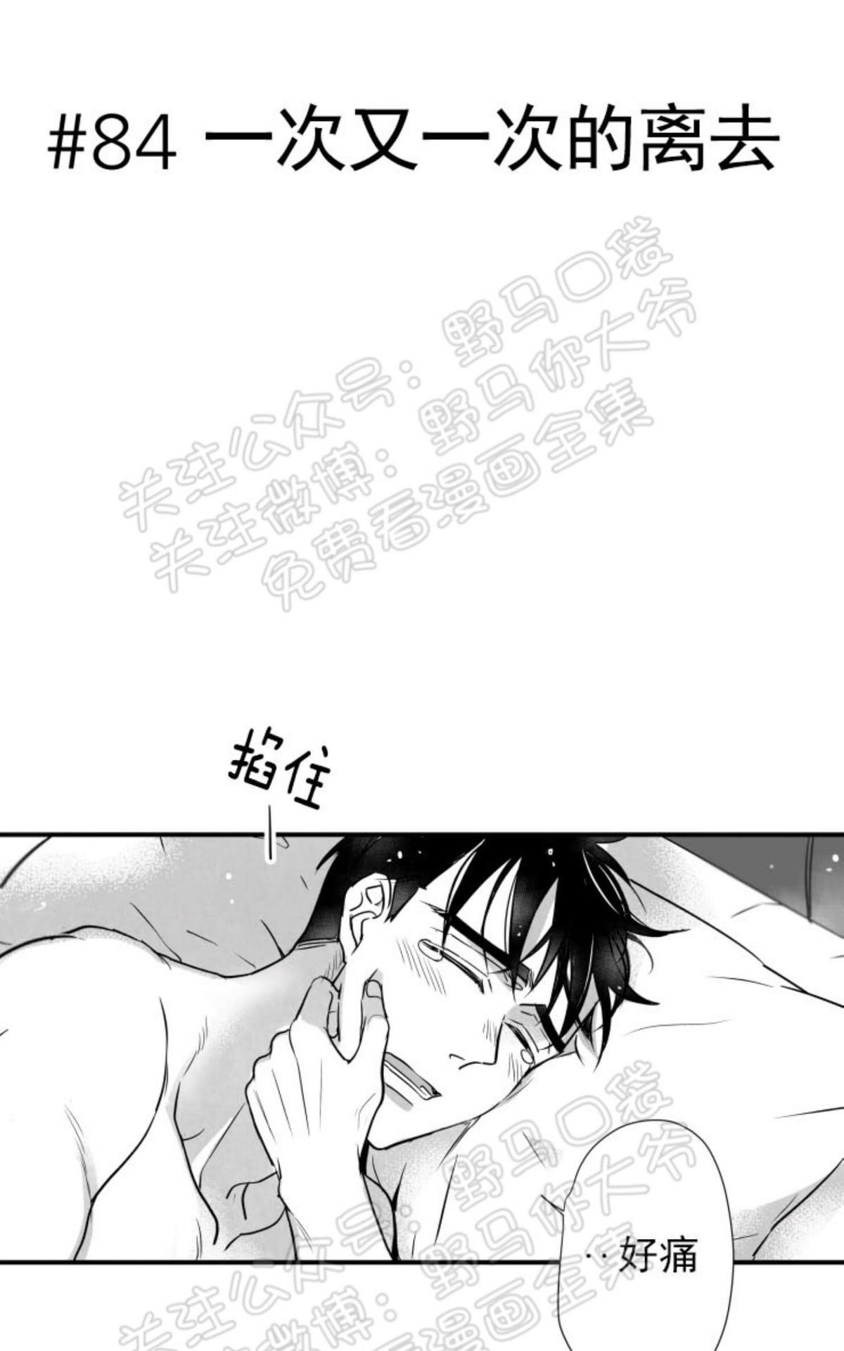 《不可抗力的他2闵锡镇豪篇》漫画最新章节 第84话 免费下拉式在线观看章节第【1】张图片