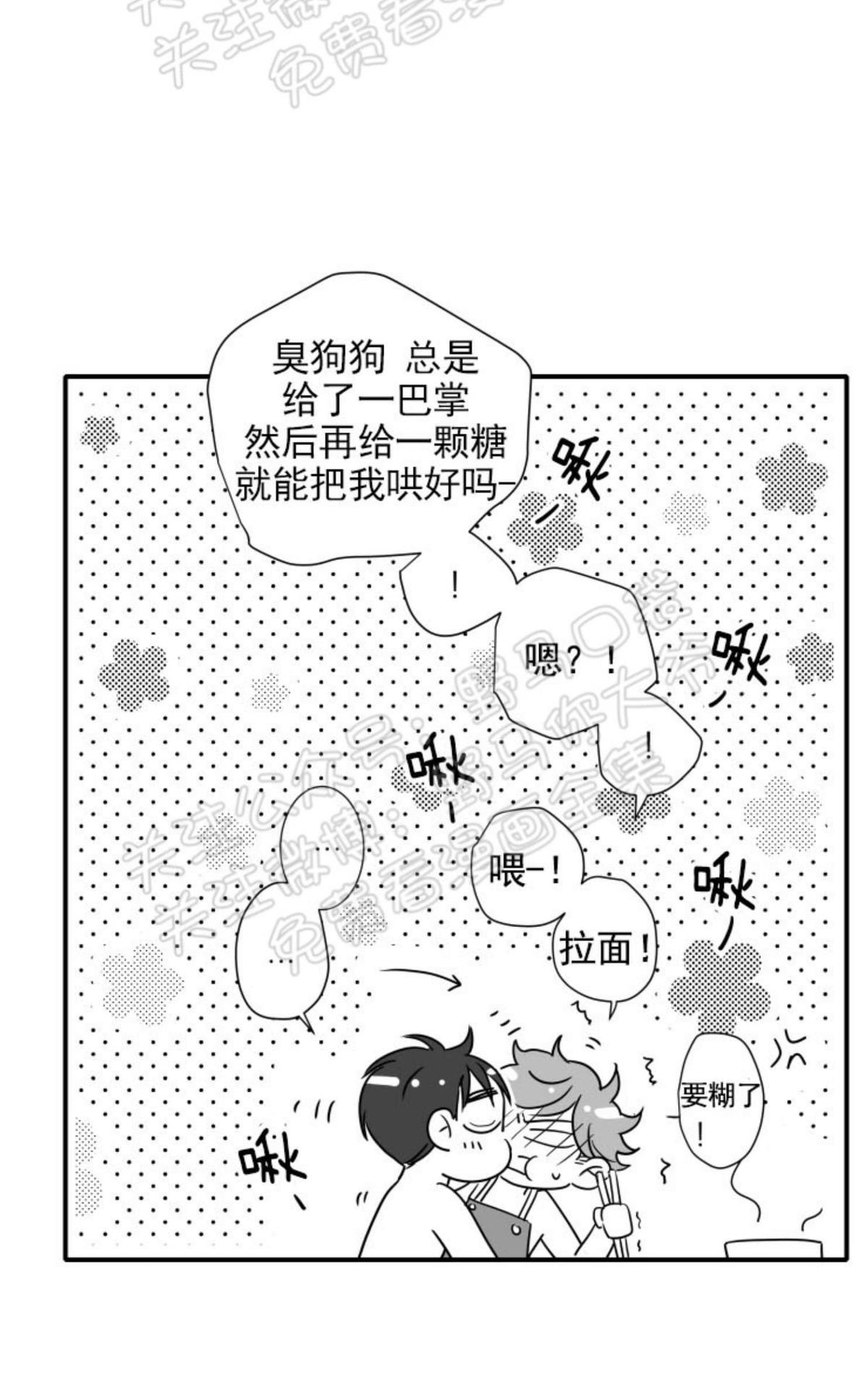 【不可抗力的他2闵锡镇豪篇[耽美]】漫画-（ 第84话 ）章节漫画下拉式图片-19.jpg