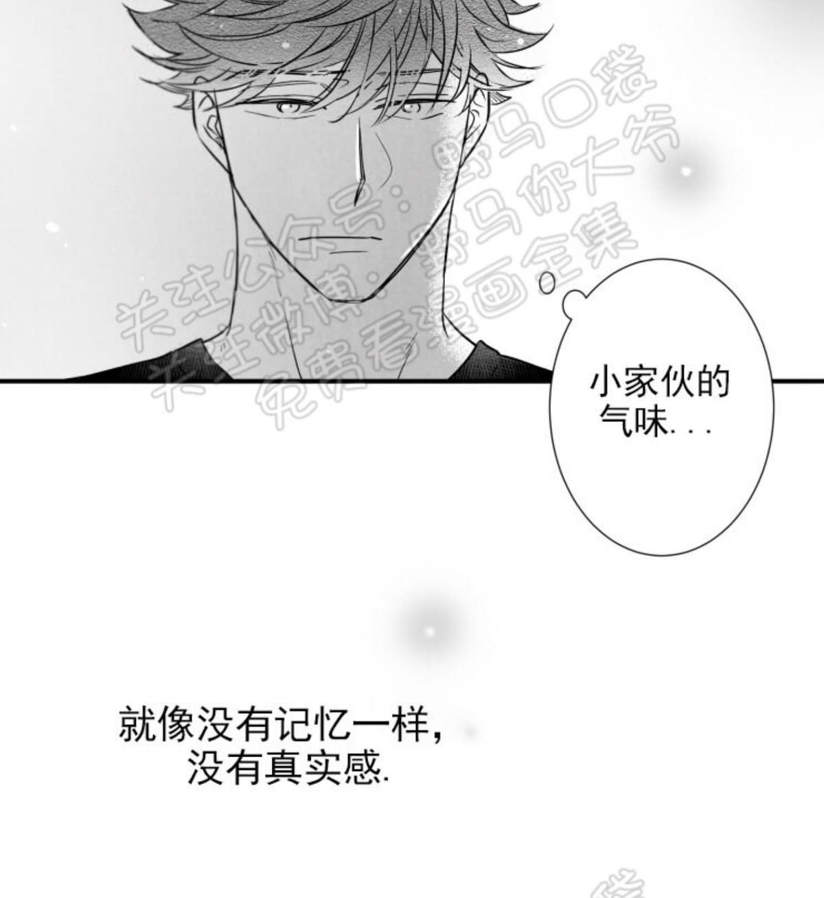 《不可抗力的他2闵锡镇豪篇》漫画最新章节 第84话 免费下拉式在线观看章节第【25】张图片