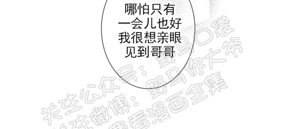 《不可抗力的他2闵锡镇豪篇》漫画最新章节 第84话 免费下拉式在线观看章节第【8】张图片