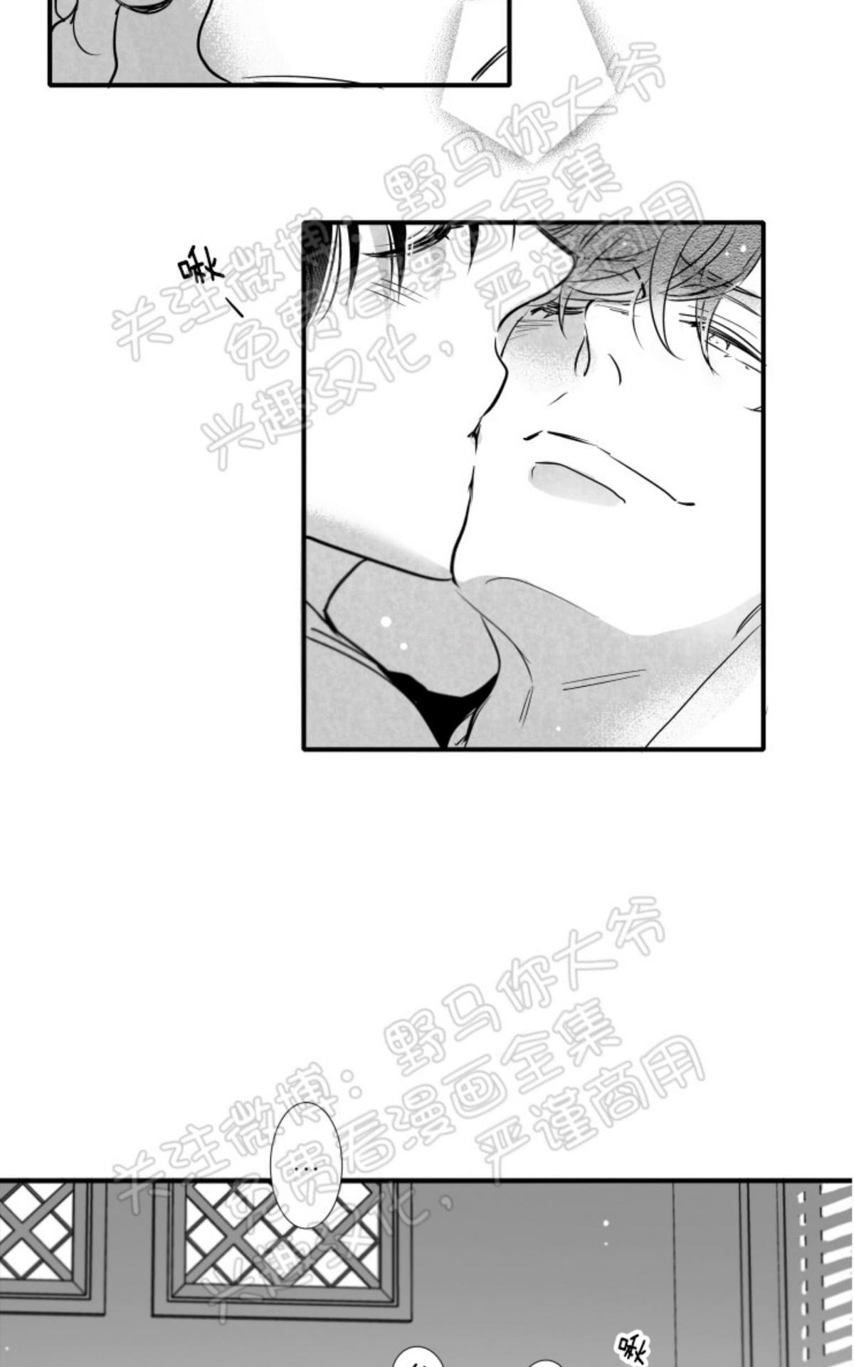 《不可抗力的他2闵锡镇豪篇》漫画最新章节 第76话 免费下拉式在线观看章节第【41】张图片