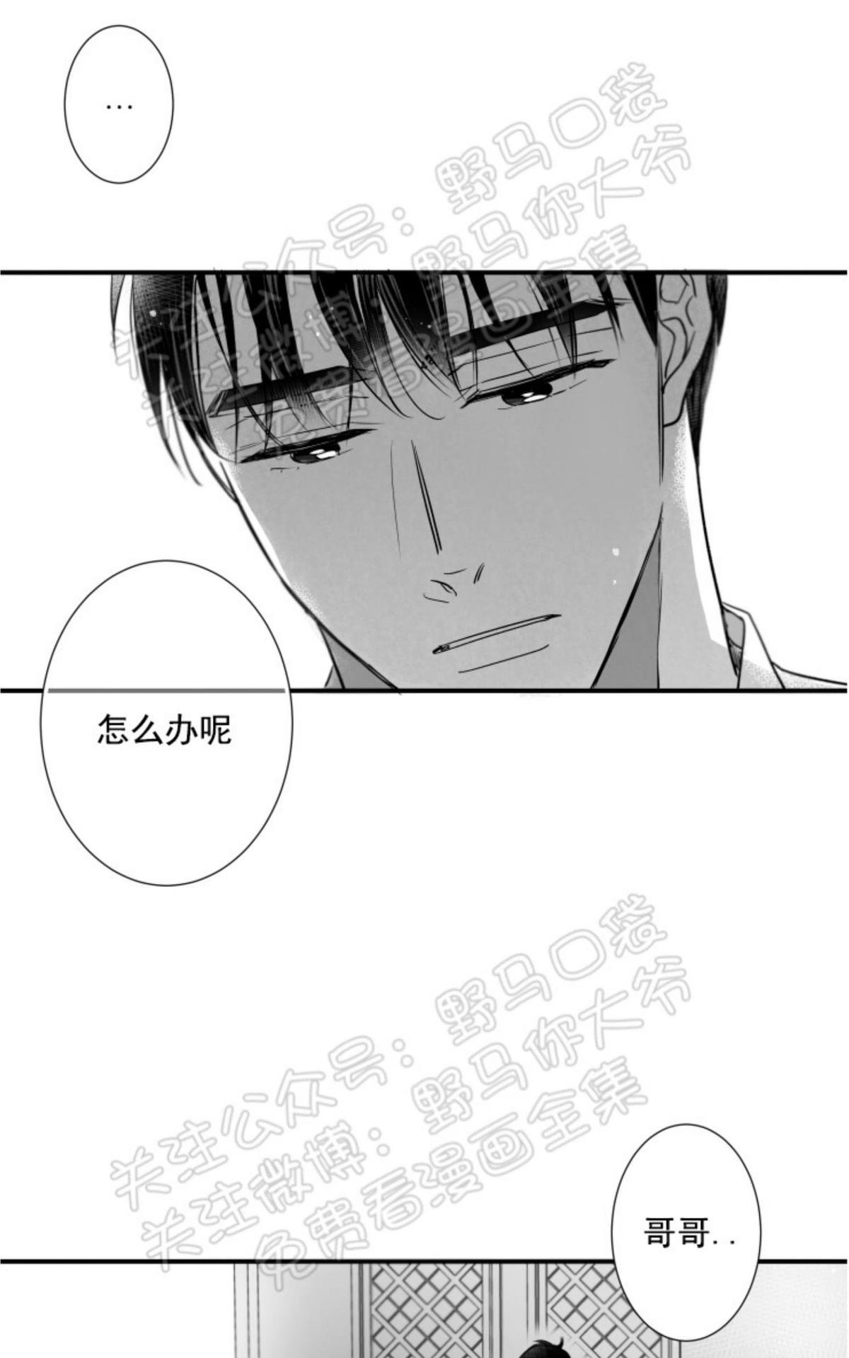 《不可抗力的他2闵锡镇豪篇》漫画最新章节 第75话 免费下拉式在线观看章节第【42】张图片