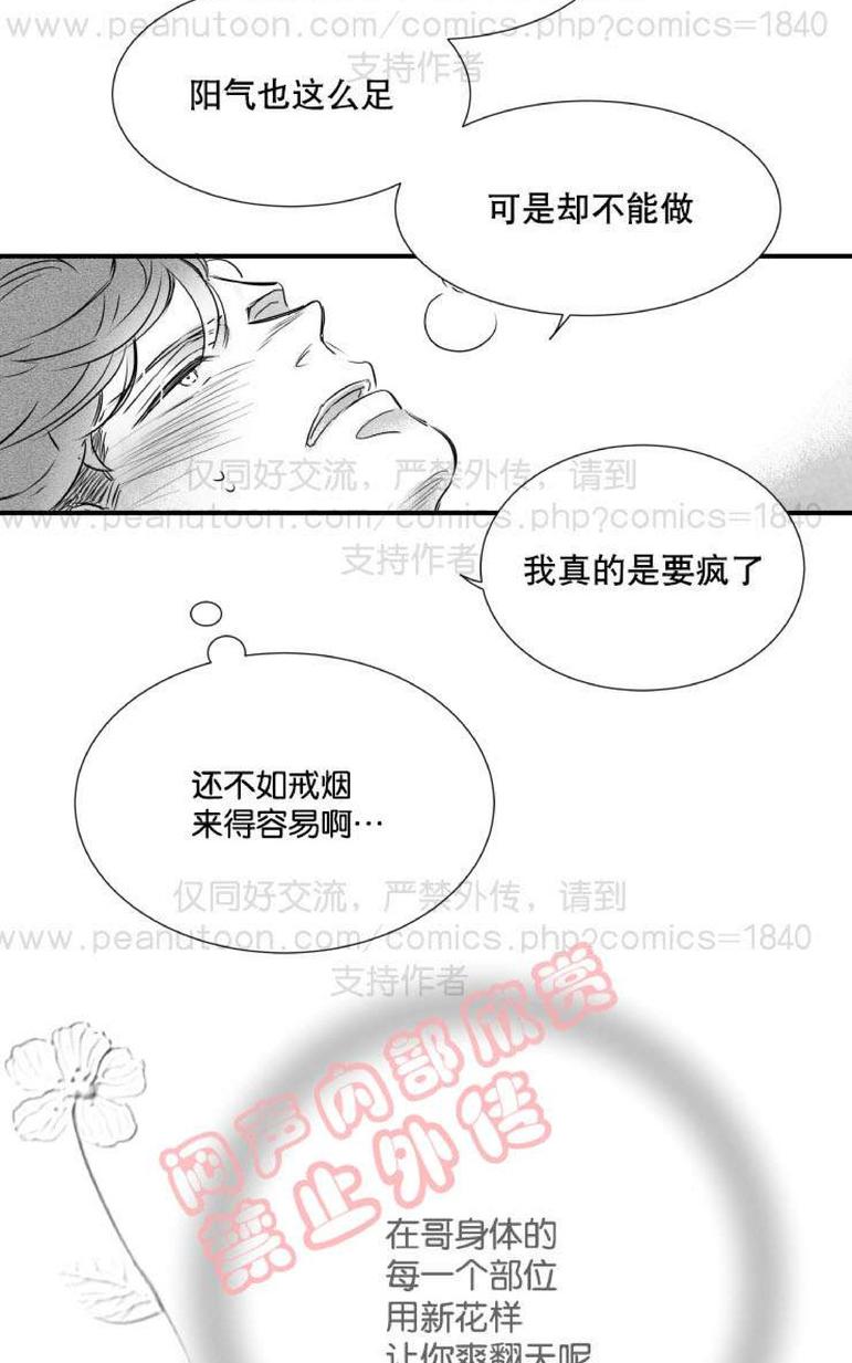 《不可抗力的他2闵锡镇豪篇》漫画最新章节 第31-36话 免费下拉式在线观看章节第【102】张图片