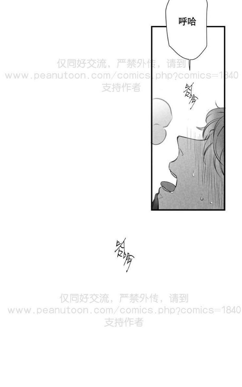 《不可抗力的他2闵锡镇豪篇》漫画最新章节 第31-36话 免费下拉式在线观看章节第【137】张图片