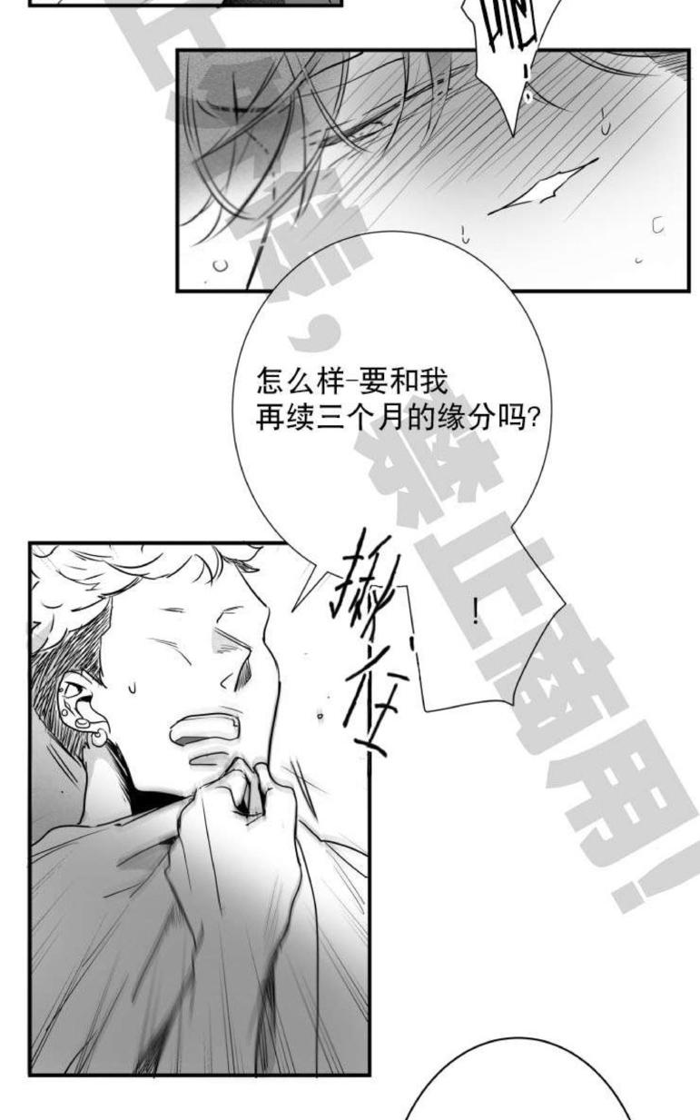 《不可抗力的他2闵锡镇豪篇》漫画最新章节 第31-36话 免费下拉式在线观看章节第【199】张图片