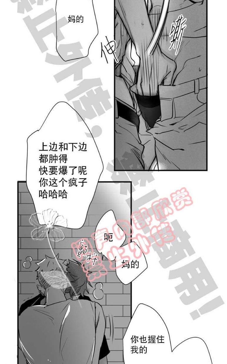 《不可抗力的他2闵锡镇豪篇》漫画最新章节 第31-36话 免费下拉式在线观看章节第【206】张图片