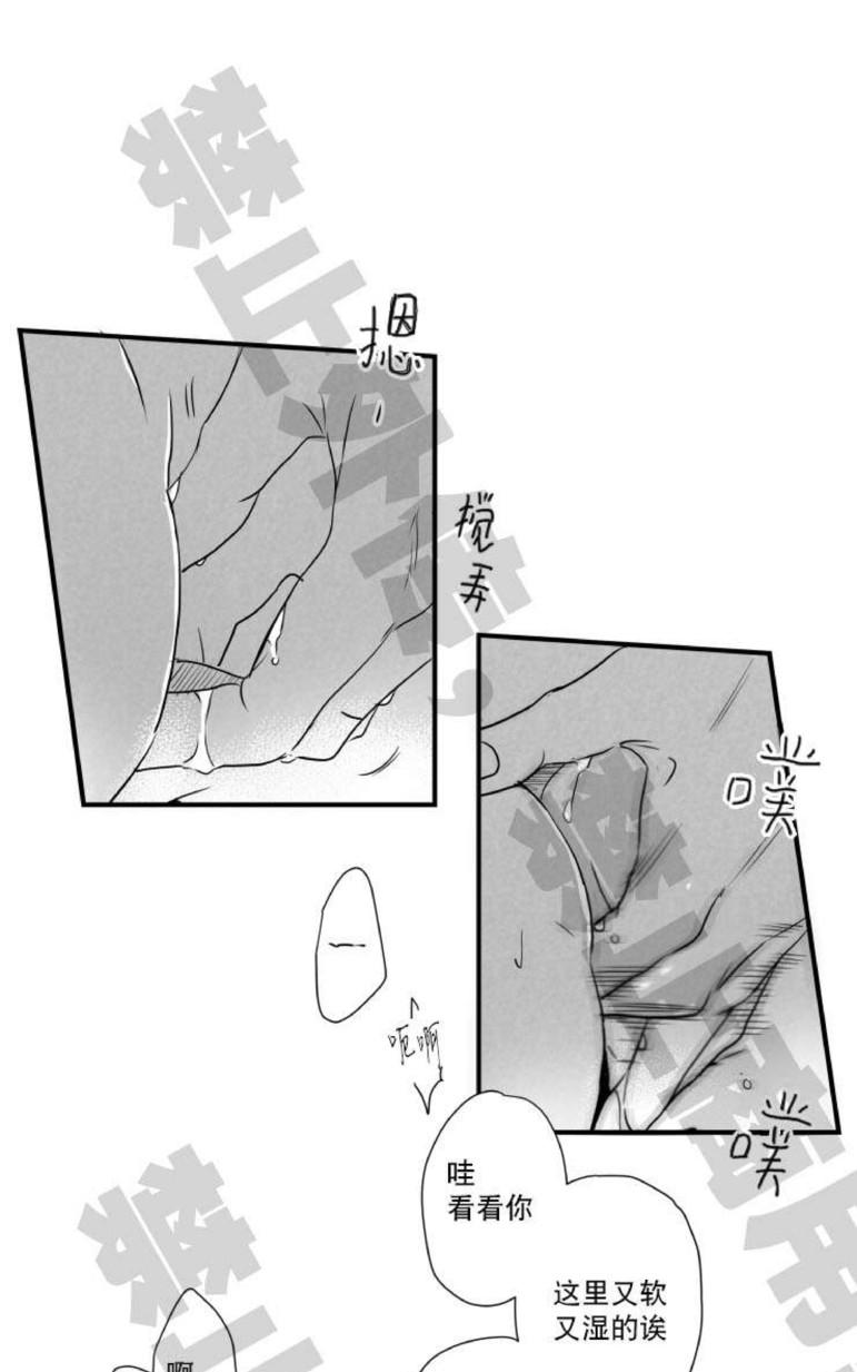 《不可抗力的他2闵锡镇豪篇》漫画最新章节 第31-36话 免费下拉式在线观看章节第【213】张图片