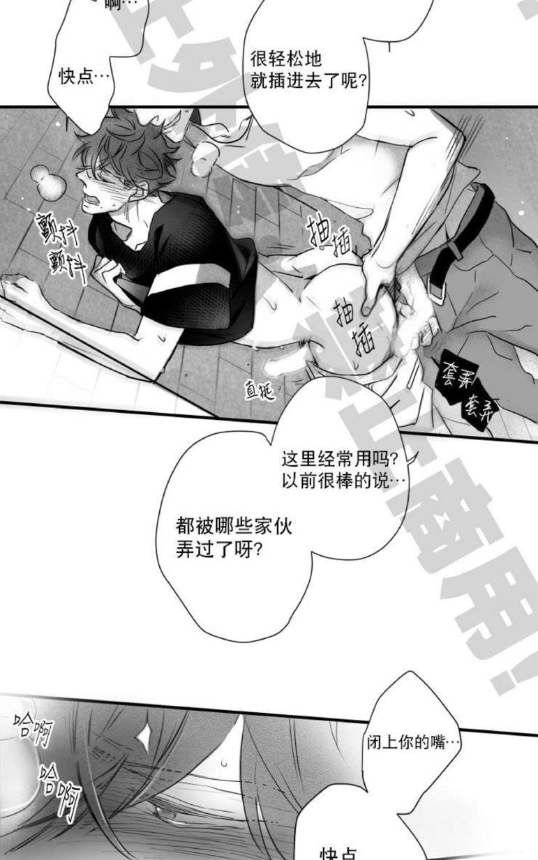 《不可抗力的他2闵锡镇豪篇》漫画最新章节 第31-36话 免费下拉式在线观看章节第【214】张图片