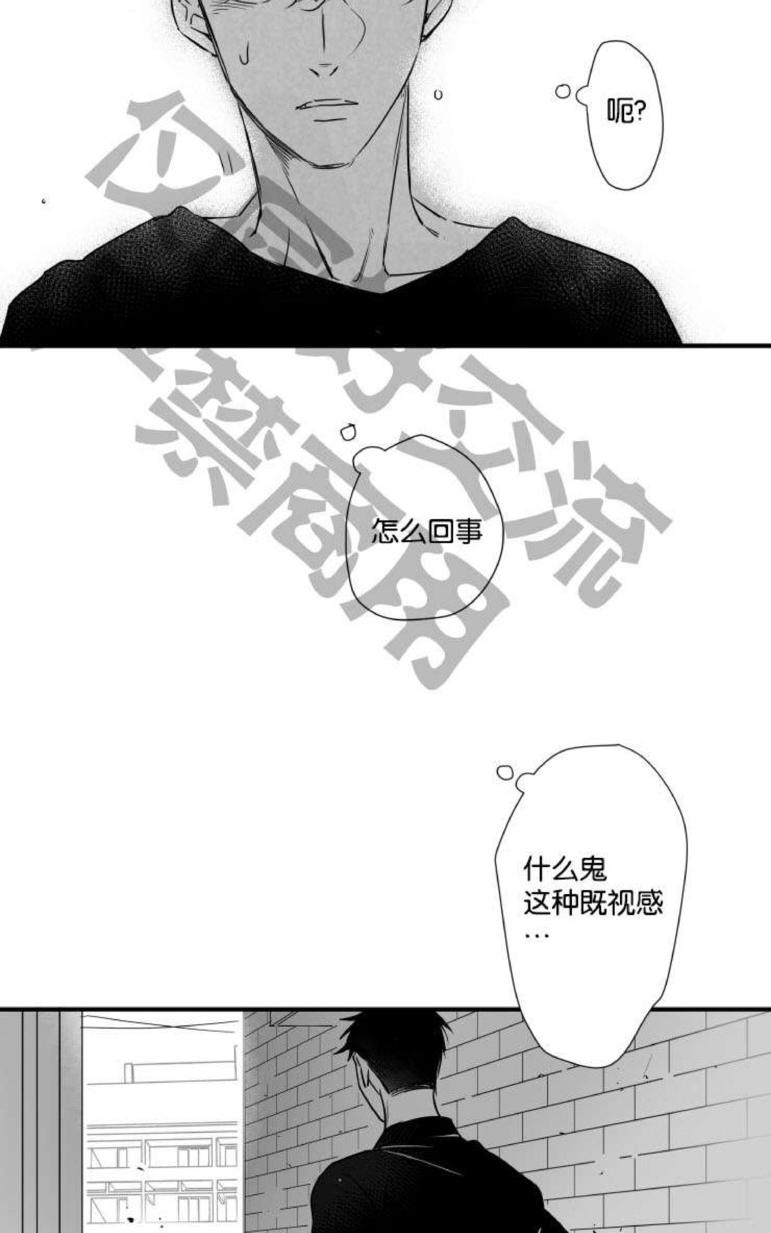 《不可抗力的他2闵锡镇豪篇》漫画最新章节 第31-36话 免费下拉式在线观看章节第【227】张图片