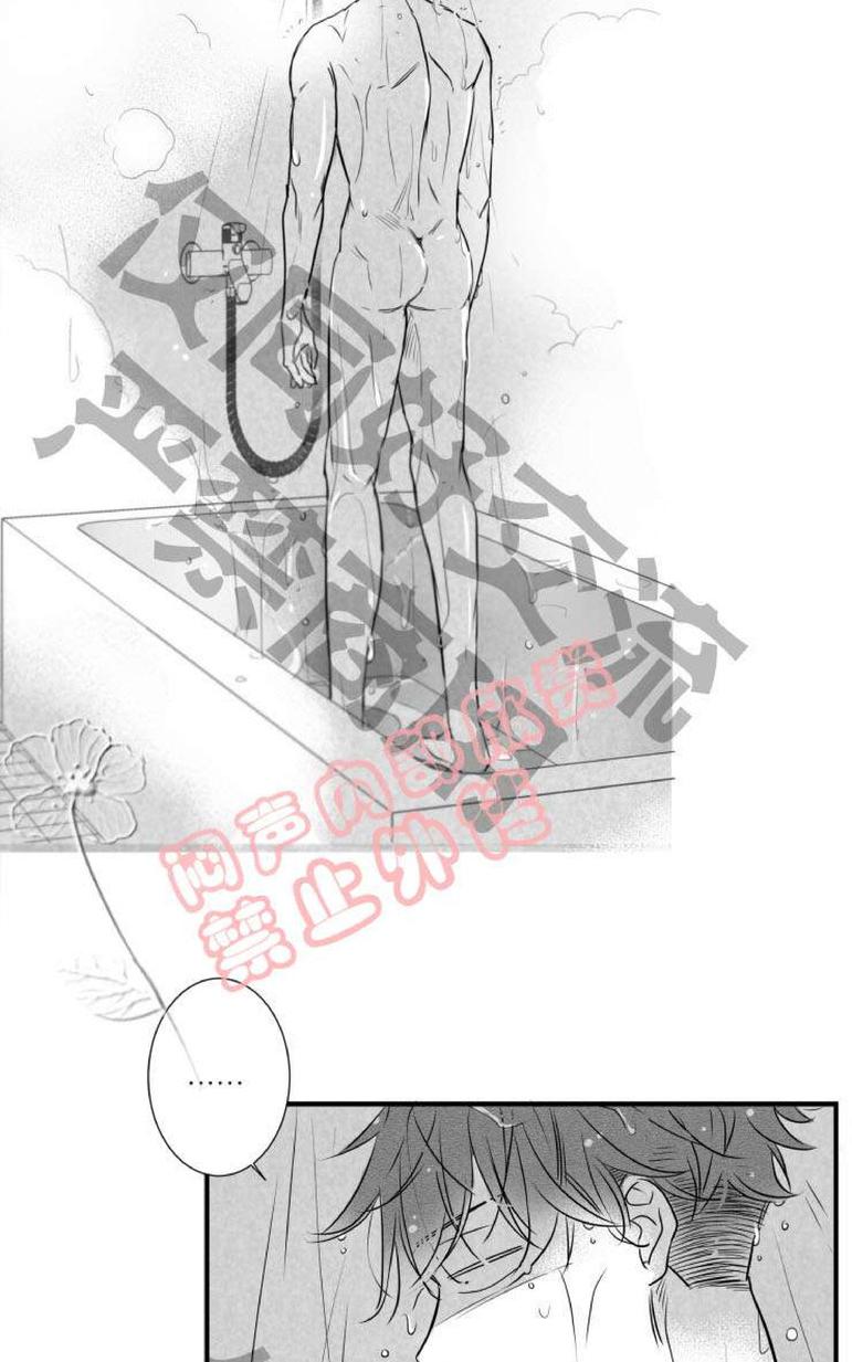 《不可抗力的他2闵锡镇豪篇》漫画最新章节 第31-36话 免费下拉式在线观看章节第【256】张图片