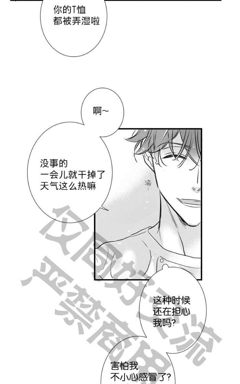 《不可抗力的他2闵锡镇豪篇》漫画最新章节 第31-36话 免费下拉式在线观看章节第【282】张图片