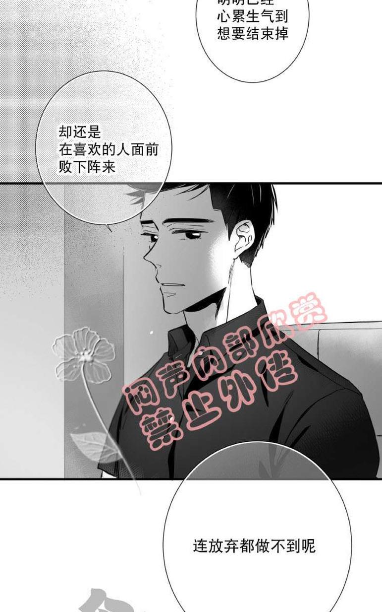 《不可抗力的他2闵锡镇豪篇》漫画最新章节 第31-36话 免费下拉式在线观看章节第【328】张图片