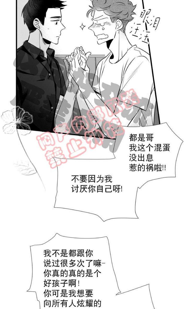 《不可抗力的他2闵锡镇豪篇》漫画最新章节 第31-36话 免费下拉式在线观看章节第【332】张图片