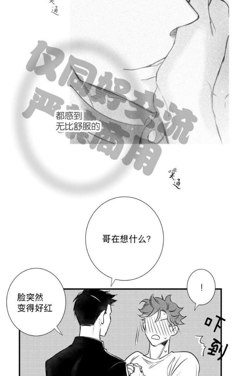 《不可抗力的他2闵锡镇豪篇》漫画最新章节 第31-36话 免费下拉式在线观看章节第【337】张图片