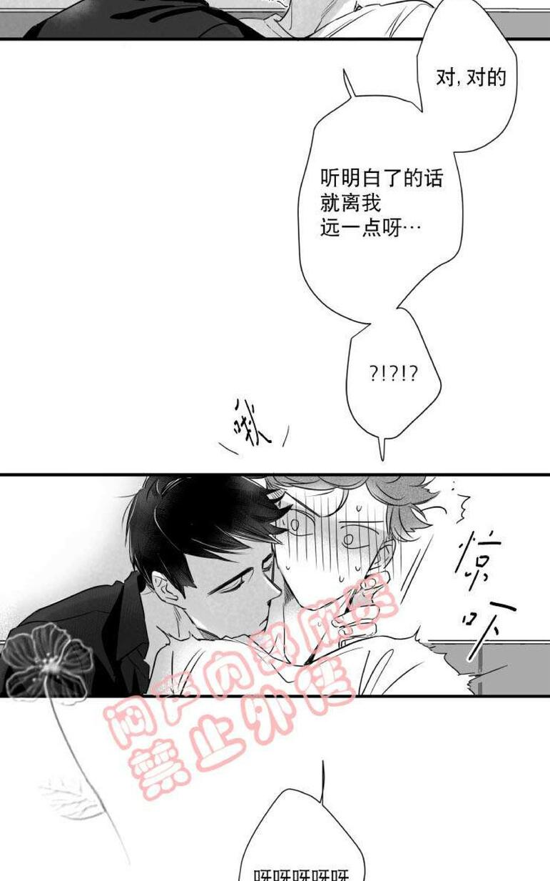 《不可抗力的他2闵锡镇豪篇》漫画最新章节 第31-36话 免费下拉式在线观看章节第【346】张图片