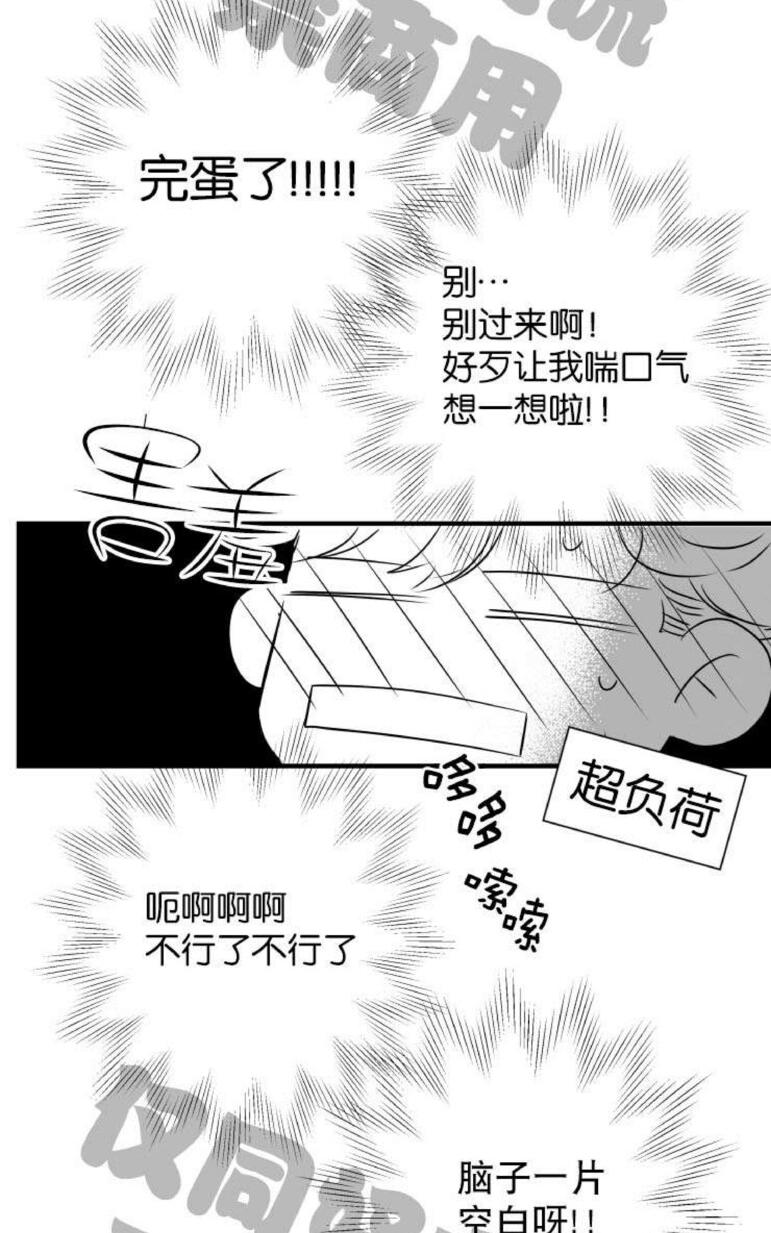 《不可抗力的他2闵锡镇豪篇》漫画最新章节 第31-36话 免费下拉式在线观看章节第【351】张图片