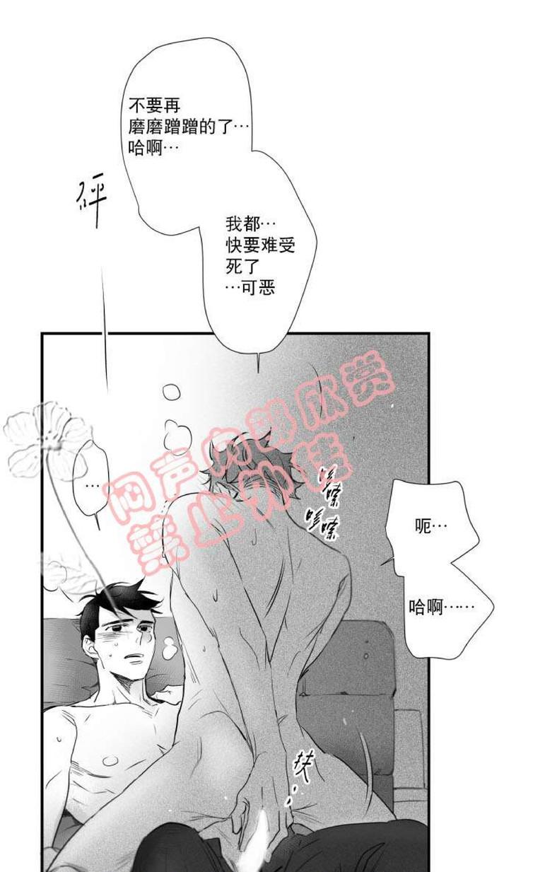 《不可抗力的他2闵锡镇豪篇》漫画最新章节 第31-36话 免费下拉式在线观看章节第【423】张图片