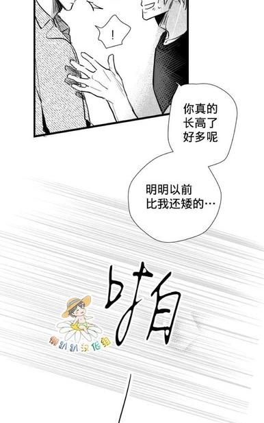 《不可抗力的他2闵锡镇豪篇》漫画最新章节 第18-25话 免费下拉式在线观看章节第【220】张图片