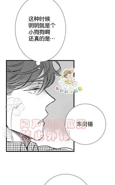 《不可抗力的他2闵锡镇豪篇》漫画最新章节 第18-25话 免费下拉式在线观看章节第【48】张图片