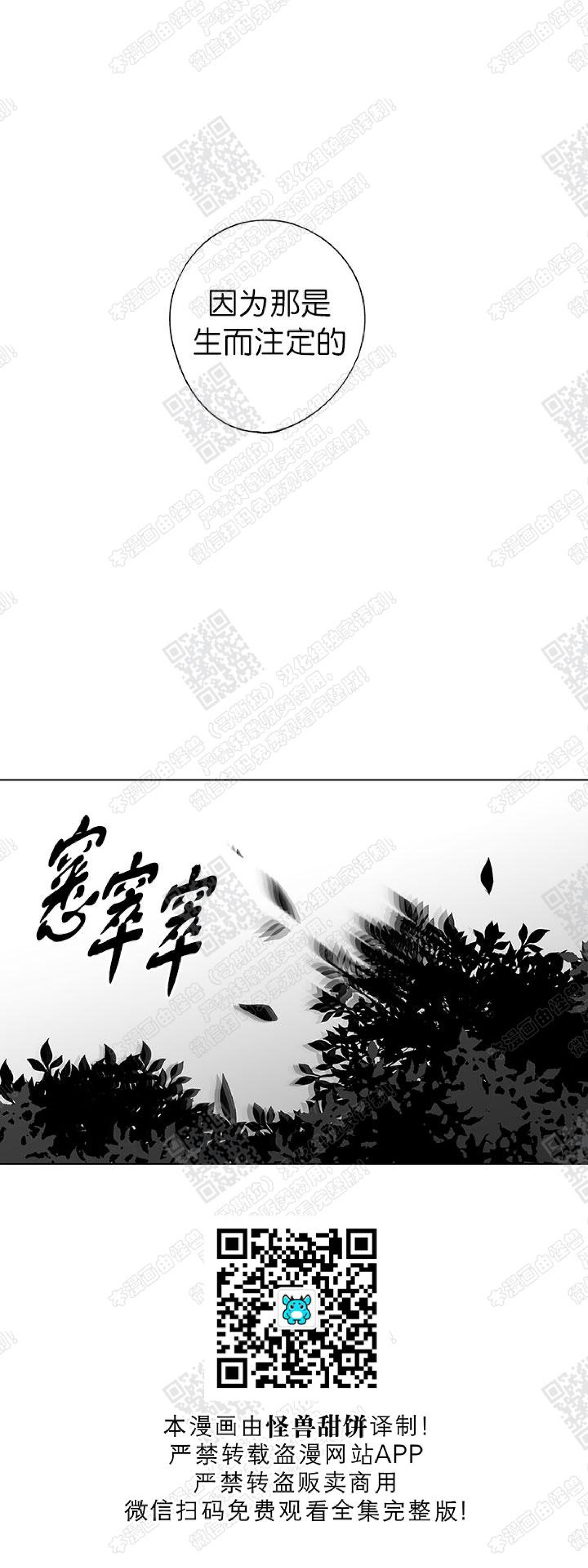 《无线电风暴/无线风暴》漫画最新章节第14话免费下拉式在线观看章节第【15】张图片