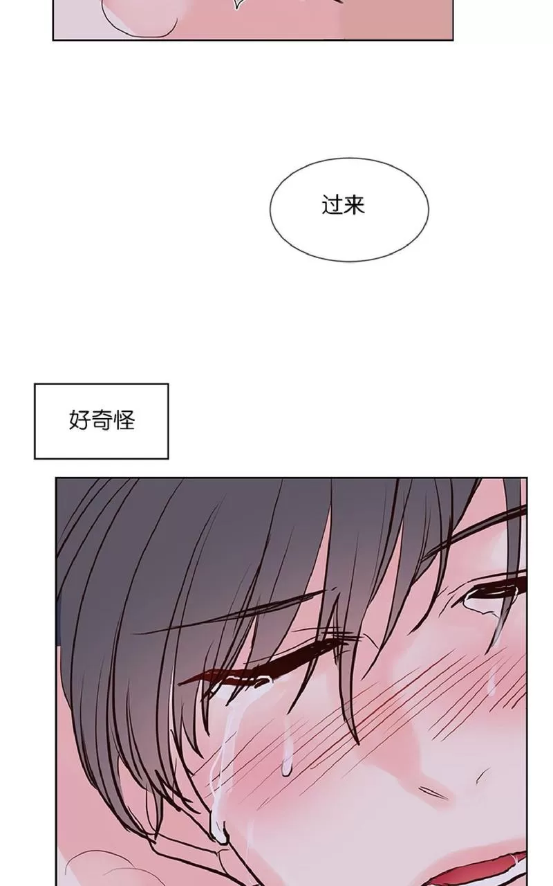 《Heat and Run/朱罗家族》漫画最新章节 第40话 免费下拉式在线观看章节第【28】张图片