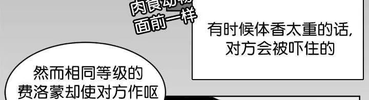 《Heat and Run/朱罗家族》漫画最新章节 第12-21话 免费下拉式在线观看章节第【52】张图片