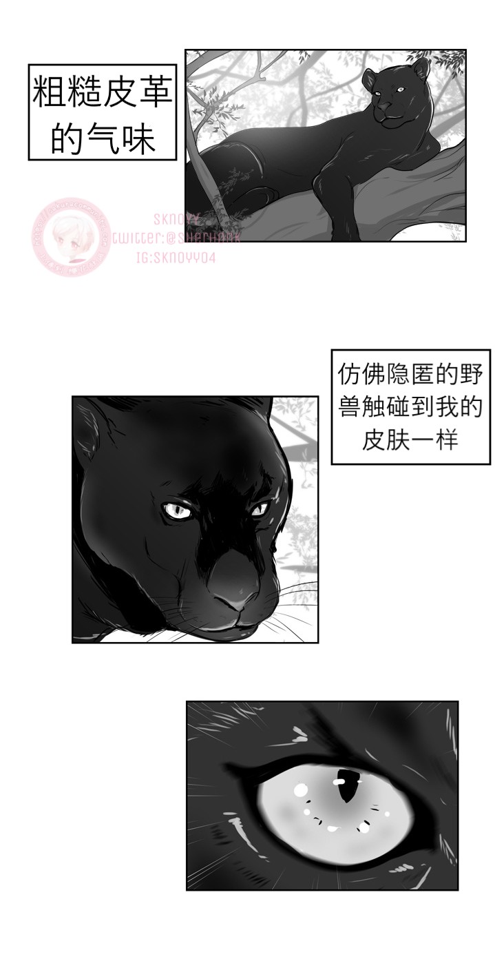 【Heat and Run/朱罗家族[耽美]】漫画-（第12话(会员自汉化)）章节漫画下拉式图片-14.jpg