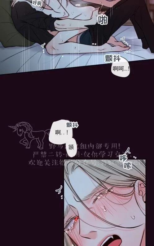 【金代理的秘密 第二季[耽美]】漫画-（ 第4话 ）章节漫画下拉式图片-第52张图片