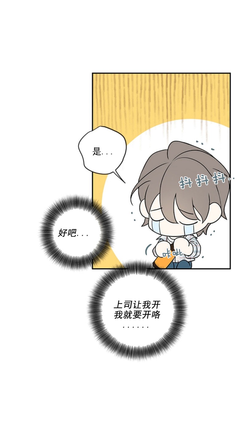 【金代理的秘密 第二季[耽美]】漫画-（外传2）章节漫画下拉式图片-第22张图片