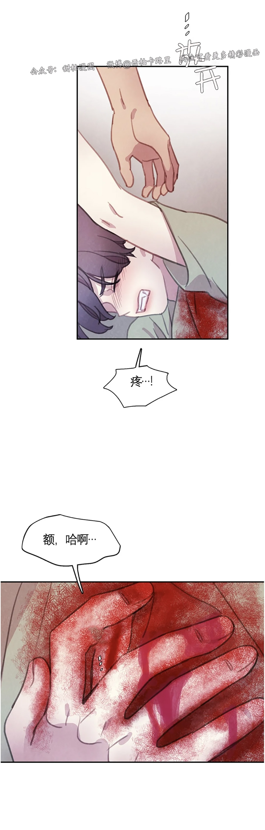 《与蝙蝠共餐/与吸血鬼共餐/与血族共生》漫画最新章节番外5免费下拉式在线观看章节第【35】张图片